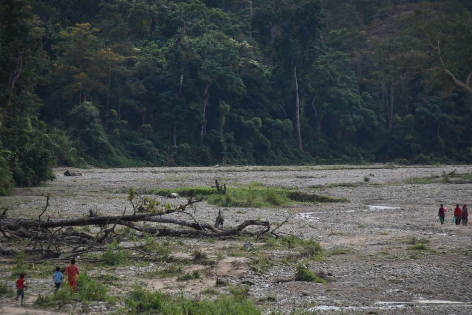 Bord de la jungle après de Chisapani