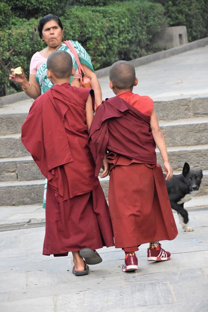 little_monks-_kathmandu.jpg